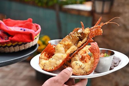 Paragliding Rosarito & Port new lobster/portals/charm