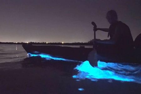 Bioluminescence Kayak Holbox — Night Eco Tour & Stargazing