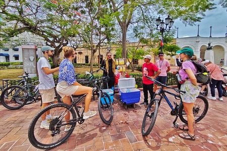 Bike tour in Panama City with Gastronomic Samples (14 Flavors)
