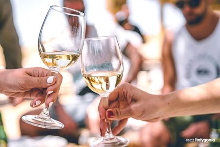 TRANI Wine Tours: Flavors of Puglia