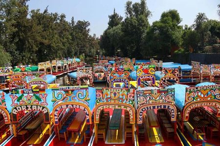 Private or Shared Tour Xochimilco Coyoacán and Frida Kahlo Museum