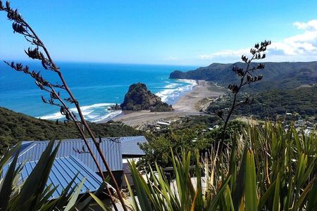 Auckland Sightseeing Tour—Private Full Day/Half Day Driver+Tesla