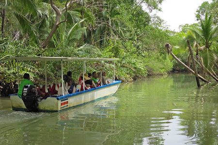 Damas Island Mangrove Boat Adventure