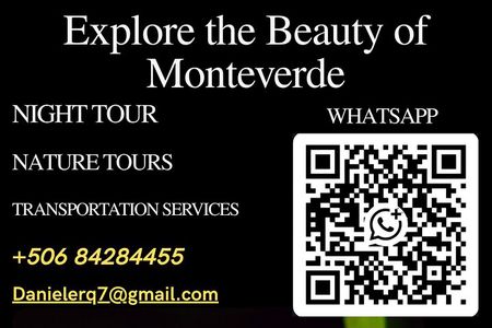 Monteverde Tropical Forest small group tour