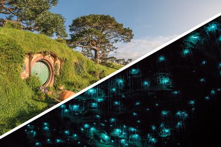 Hobbiton & Waitomo Caves Small Group Tour from Auckland