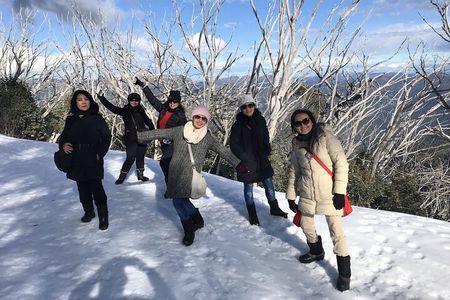 Mount Buller Snow Day Boutique Trip - Max 11 People