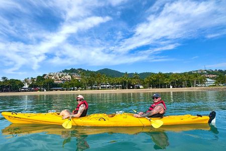Half Day Kayak Turtle Tour