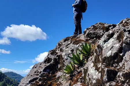  Cuajimoloyas Private Hiking Bushwalking Oaxaca Adventure