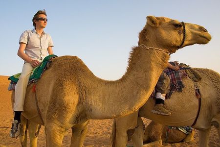 Camel Trekking and Morning Safari with Sand Boarding