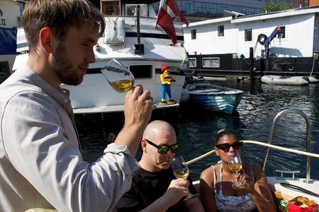 Private Copenhagen Harbor Cruise with Wine Tasting