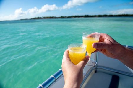 Morning Mimosa and Swim 2hr Luxury Cruise in Marathon FL