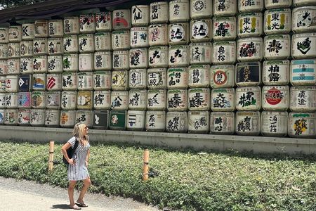 Tokyo Tailored Private Tour with a Japanese guide 