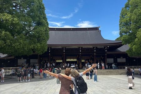 Tokyo Tailored Private Tour with a Japanese guide 