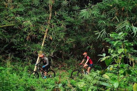 The Volcano Trail