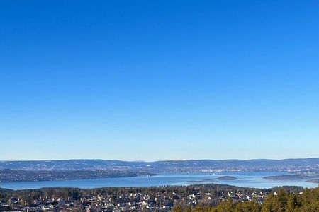 Oslo: Panoramic Fjord Hike Lead by a Local Guide and Dog
