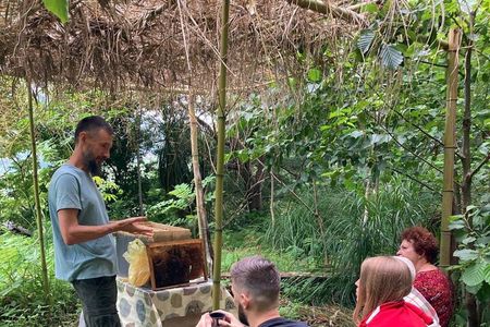 Honey story and Mtirala forest (From Batumi)