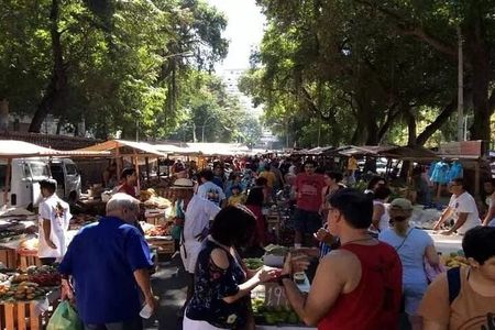 Sunday Food Tour: History, Culture & All-Inclusive Experience.