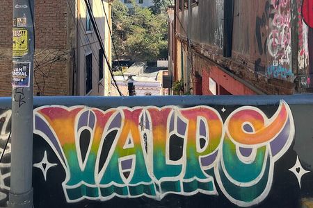 Private Valparaiso Wine and Tasting Tour 