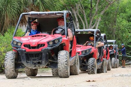 Jungle Buggy Day Tour