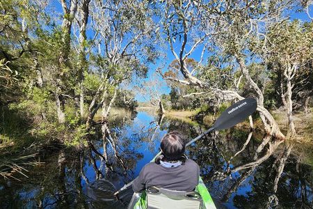 Bribie Island 4WD Kayak and WWII Bunker Tour