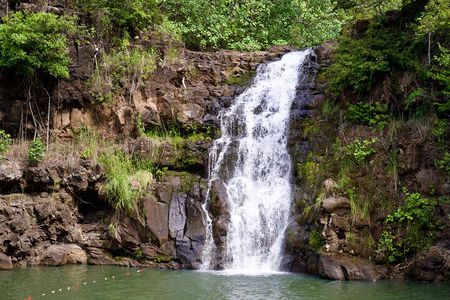 Private North Shore Oahu Tour ft. Waimea Falls-Customizable