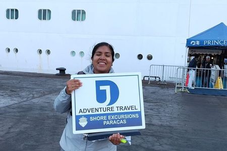 Ballestas island & Paracas reserve from PISCO CRUISESHIP TERMINAL