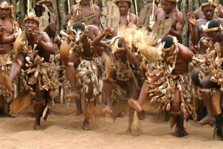 Tala Game Reserve Natal Lion Park and Phezulu Safari Park Tour