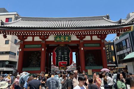 Tokyo Private Sightseeing Tour by Car with Local Guide