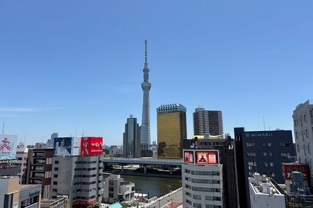 Tokyo Private Half-Day Tour by Car with Local Guide
