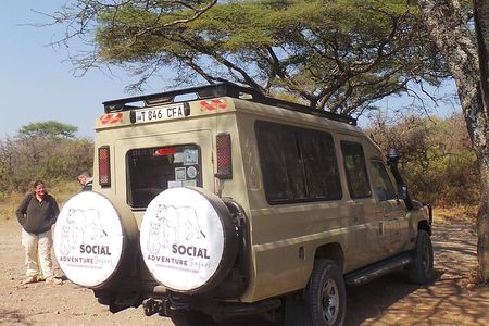 2-Day Tanzania Safari: Tarangire & Ngorongoro Big 5 Adventure