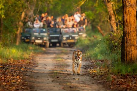 Kathmandu: 3 Days Chitwan Jungle Safari Private Tour