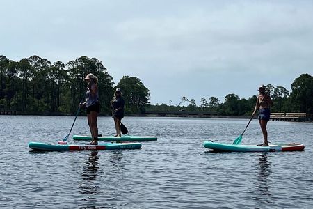 Guided Stand up Paddle Activity