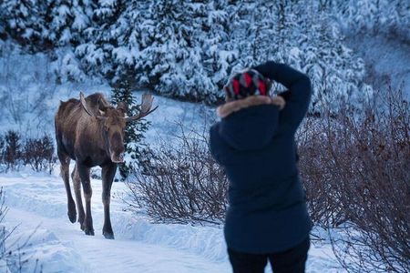 Anchorage Winter Wonderland Photo Tour