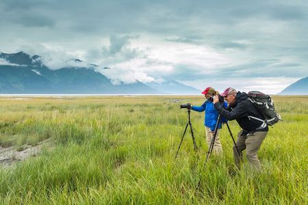 Turnagain Arm Highlights Photo Tour