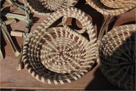 90 Minute Sightseeing Bus Tour of Historic Charleston