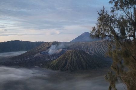 1 Day Mount Bromo Sunrise Private Tour from Surabaya