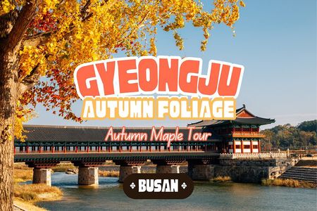 Gyeongju Autumn Foliage Day Tour from Busan with Historic Sites