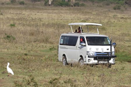 Mombasa & Diani: Group Day Trips to Tsavo Park