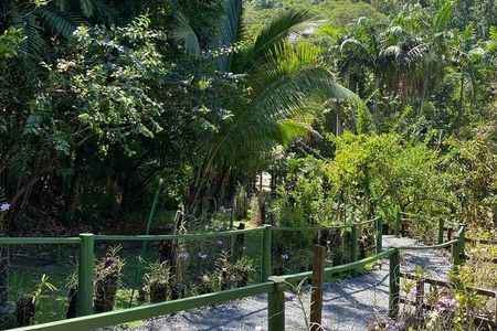 Half Day Tour in Nadi 