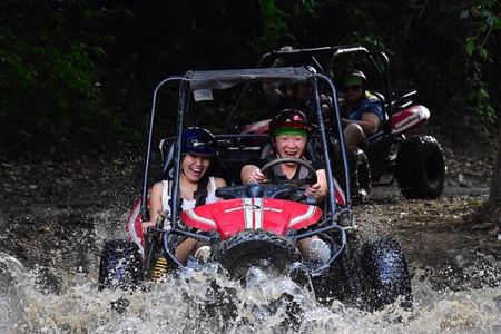 Roatan Excursions: Sloths Hangout Offroad Buggy & Beach Adventure
