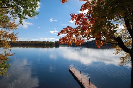 Small Group :Lake Muskoka & Algonquin 1-Day Tour From Toronto