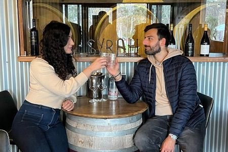 Sydney Wine Tasting-Southern Highlands with Pick up & drop off 