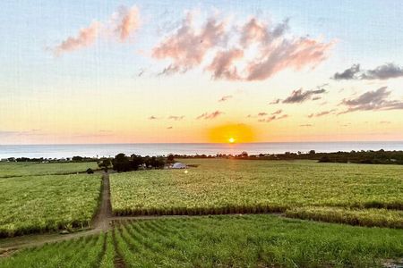 Farm to Bottle Tour at Prosperity Farm Distillery