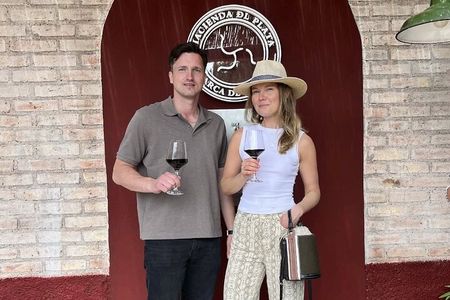 Half day Tour Visit 2 Wineries & Unlimited Wine. Private Transfer
