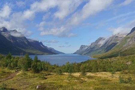 Express Fjord Road trip with Cruise Ship Pick up and Drop off