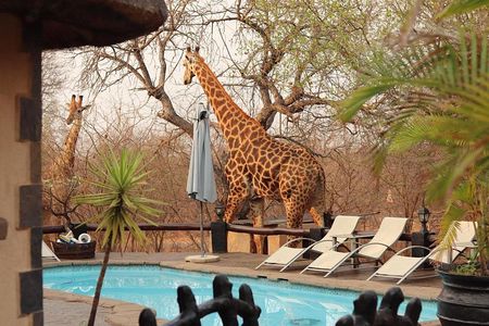 3 Day African Rock Lodge Safari in Kruger National Park