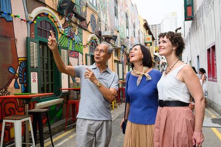 Singapore Private & Personalized Half-Day Tour with a Local Guide