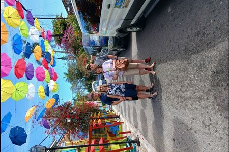 Nassau's Half Day Bus City Tour: Guided Tour with Free Samples