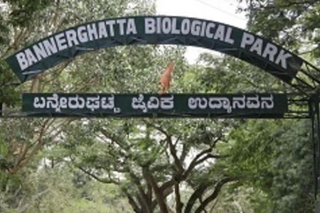 From Bangalore Bannerghatta Park and City Sights Private Tour