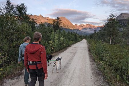 Private Hiking Tour in Tromsø with the Happy Tails Huskies